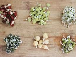 Once sprouted, these seeds and legumes have more nutrition to offer.  Plus, if you are on the move, you can carry these in your backpack, sprout as you go, and you will not starve.