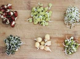 Once sprouted, these seeds and legumes have more nutrition to offer.  Plus, if you are on the move, you can carry these in your backpack, sprout as you go, and you will not starve.