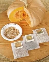 How to save seeds so that they remain able to germinate is a skill that requires a bit of learning and planning. Buy heritage, non-GMO seeds from online sources and read how to store them properly.  Saving seeds is so important for after the 3 Days of Darkness.