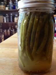 Lactose-fermentation of veggies, such as these green beans, produces delicious vegetables which also help us to have healthy bowel flora.

This will be especially important if we are eating enzyme-dead canned food for an extended period of time.

You can lactose ferment with sea salt, or with a combination of sea salt and whey.  

This book shows you how to make whey too!

Don't be afraid of the cloudiness at the bottom of the jar, that is normal.  

Try it now, and see how your digestive tract will love you!