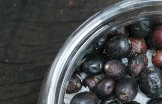 These olives have been preserved in salt.  

Mary of Agreda writes in her work, 